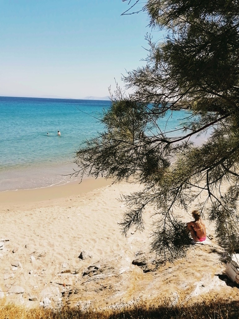 IMG_20200729_152246206